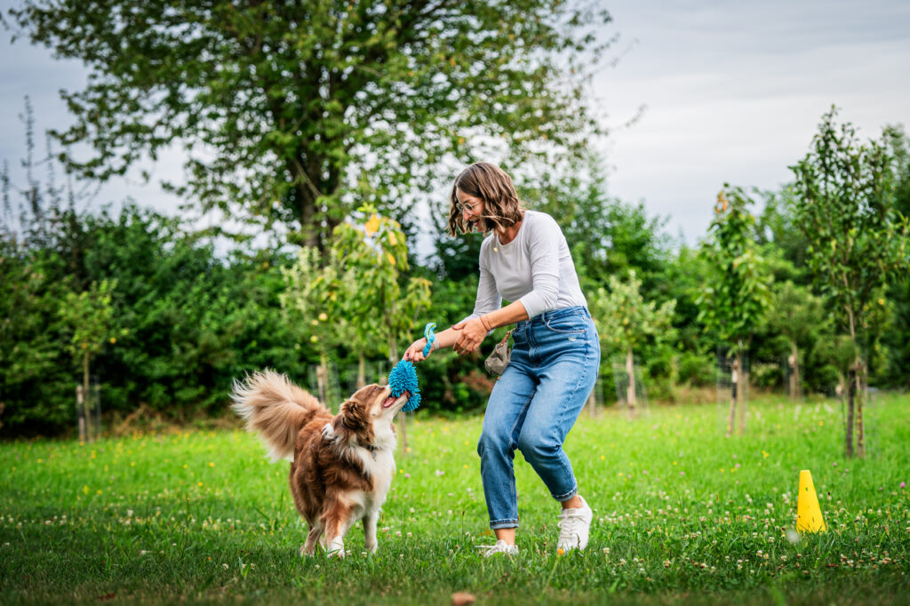 Karin beim Sozialspiel zwischen Mensch und Hund in Straubing