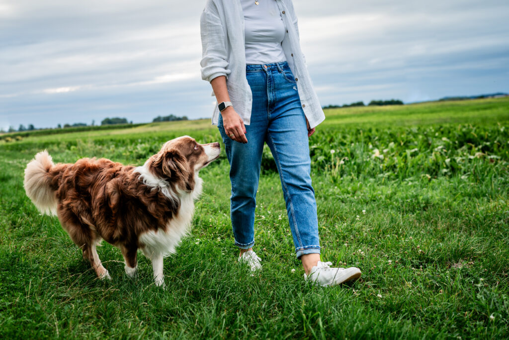 Mensch-Hund-Training in Deggendorf - gemeinsame Kommunikation