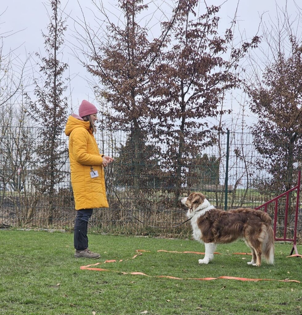 Trainerin Karin auf Fortbildung mit ihrem Hund Buddy, zum Thema feines körpersprachliches Arbeiten