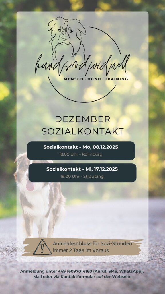 grafische Übersicht der Sozialkontakt-Termine für Dezember