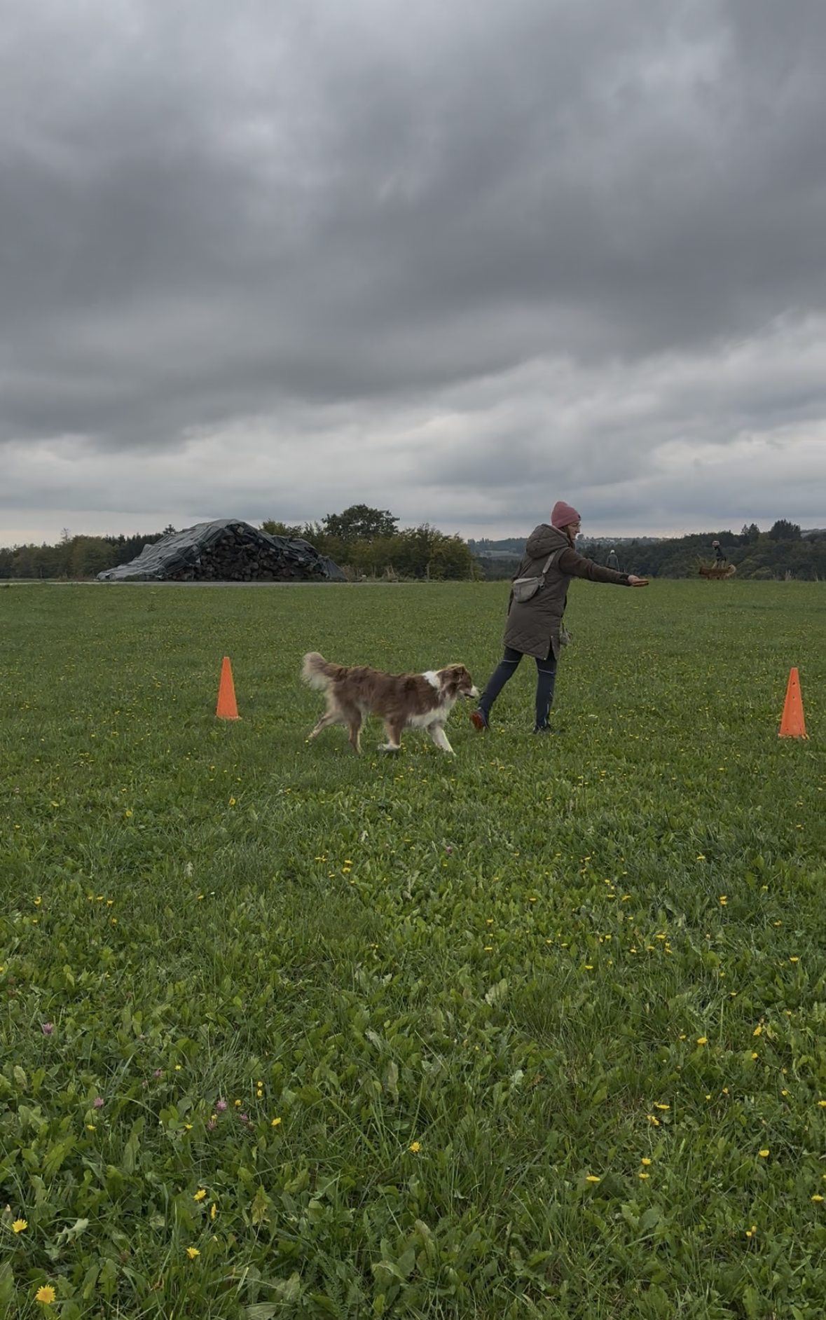 Hundetrainerin Karin auf Fortbildung Lonigeren für Trainer:innen