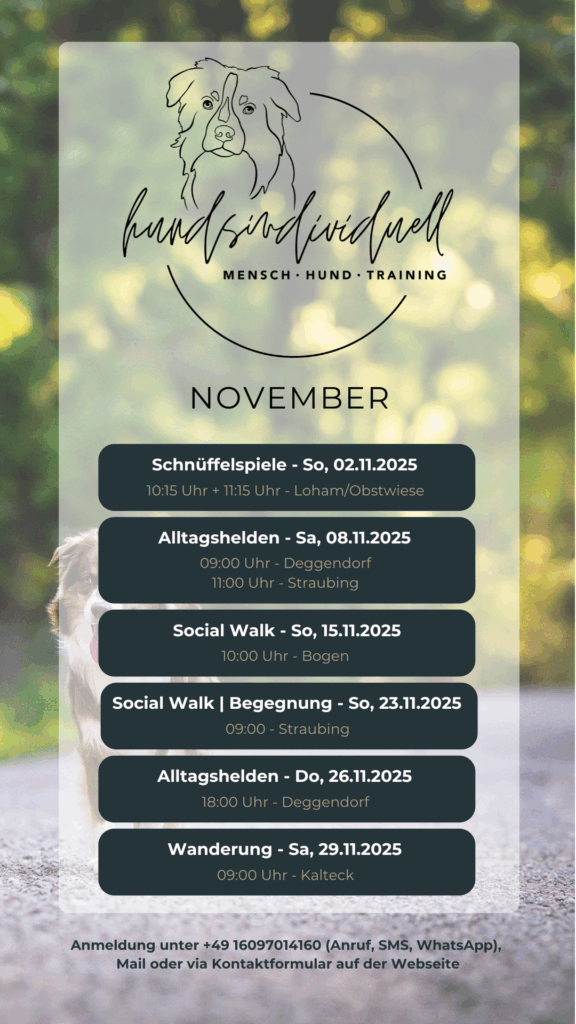 grafische Übersicht der Termine für November