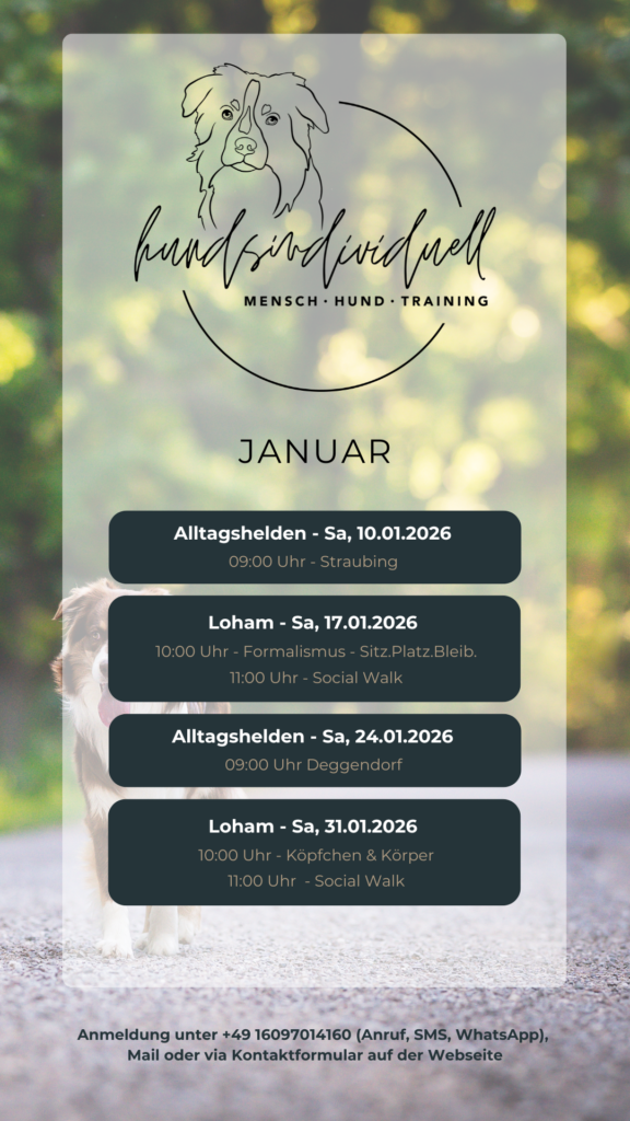 grafische Übersicht der Gruppenstunden der Hundeschule für den Monat Januar