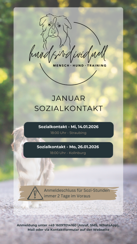 grafische Übersicht der Sozialkontakt-Termine für Januar