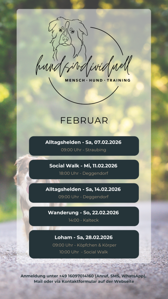 grafische Übersicht der Gruppenstunden der Hundeschule für den Monat Februar