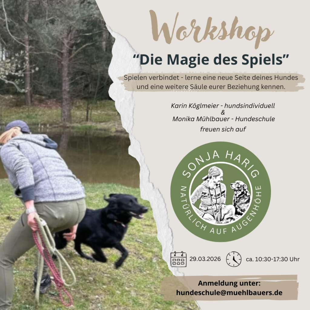 Workshop "DieMagie des Spiels" 29.03.2026