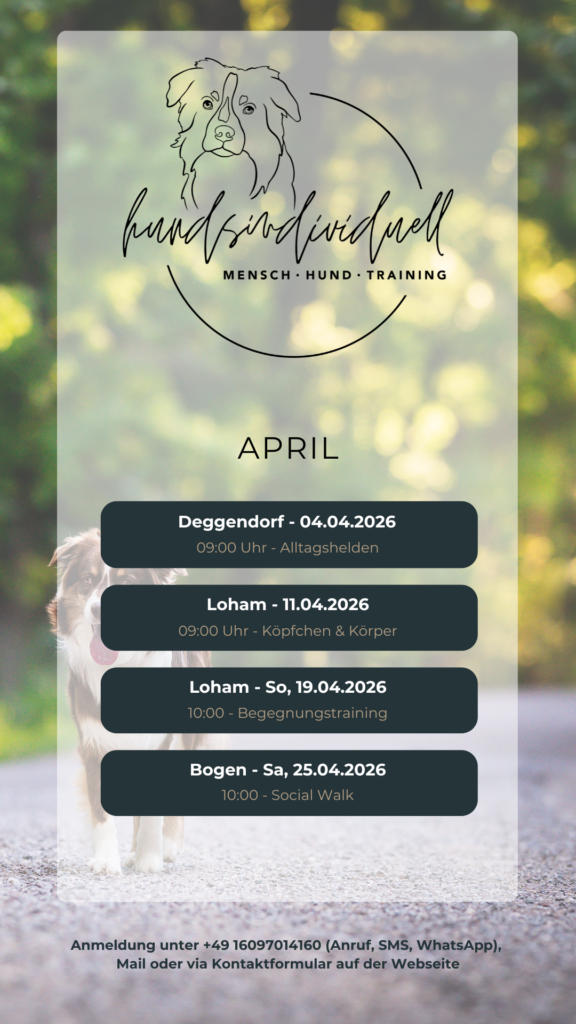 Übersicht der Gruppenstunden für die Hundeschule in Straubing, für den Monat April