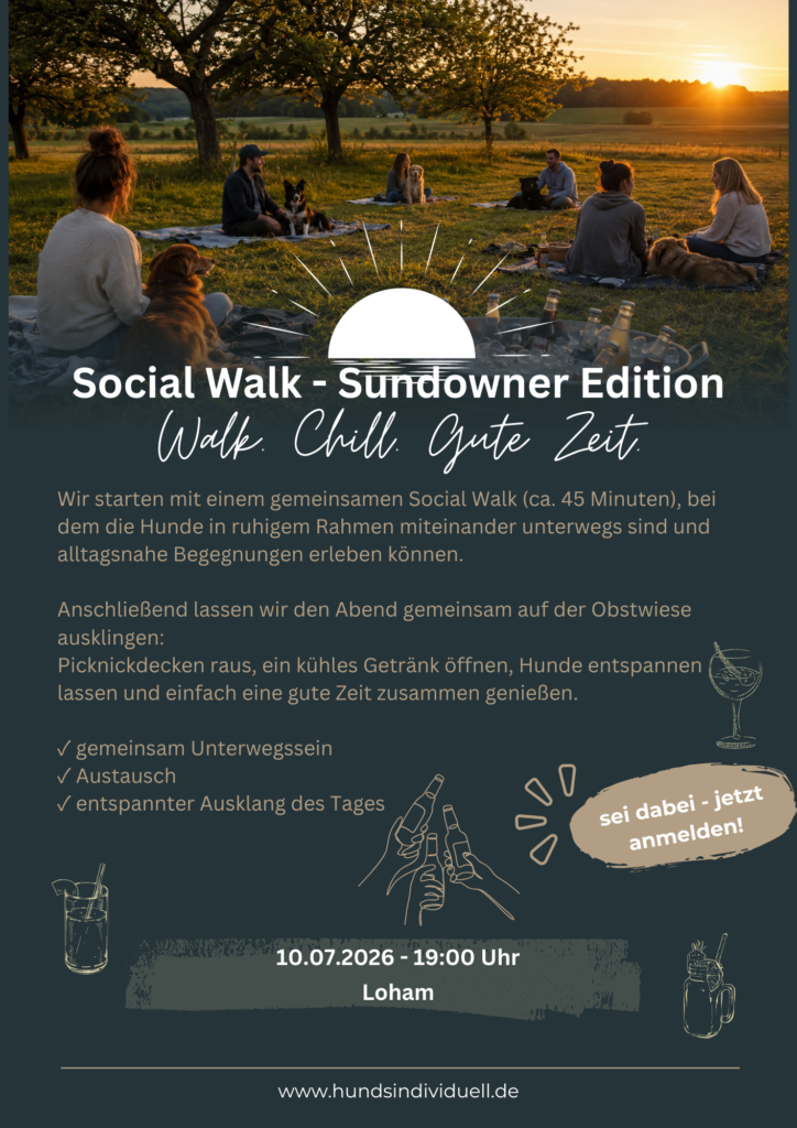 Social Walk Sundowner Edition. Walk. Chill. Gute Zeit. Meint einen entspannten Spaziergang mit Gleichgesinnten und einem abschließendem Getränk in geselliger, entspannter runde
