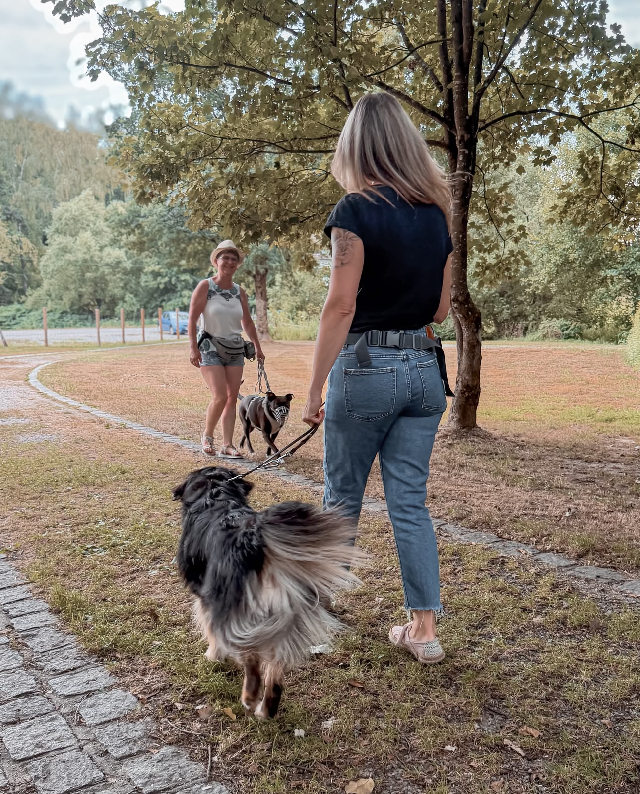 Hundetraining mit einer Hundebegegnung zweier Hunde in Deggendorf