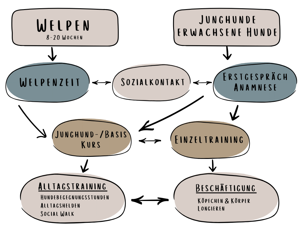 Dein Einstieg ins Hundetraining in Straubing und Deggendorf. Jetzt anmelden.