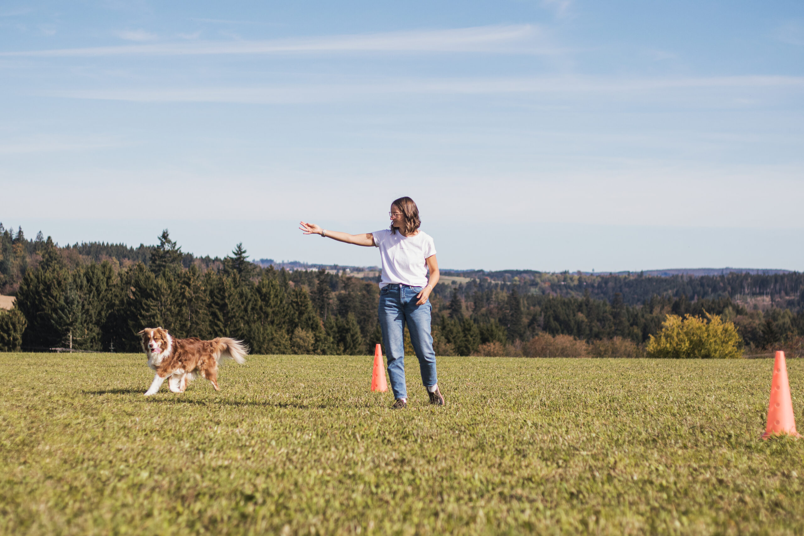 Hundetrainerin lenkt einen Australian Shepherd mit Körpersprache beim freien Longieren auf einem weiten Feld – Longierkurs in Deggendorf