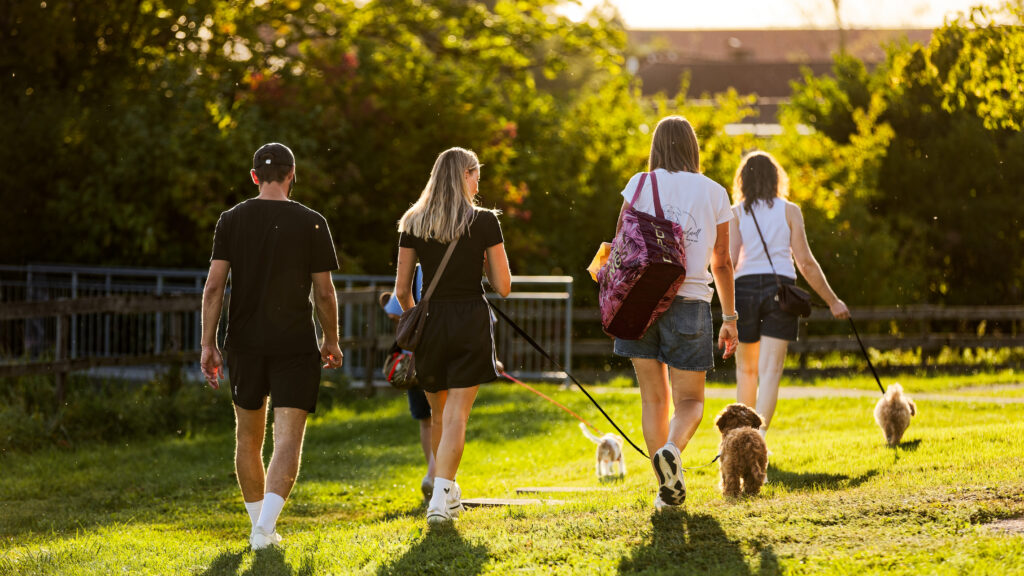 Egal ob Alltagstraining, Beschäftigung, Sozialkontakt oder Themenkurse – ich freue mich, dich und deinen Hund beim nächsten Termin zu sehen.